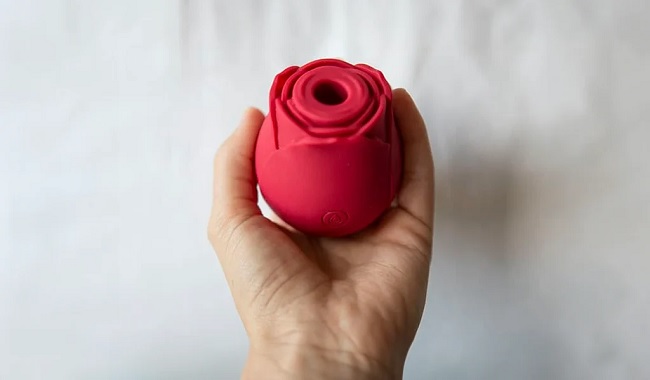 Things To Know About Rose Toy